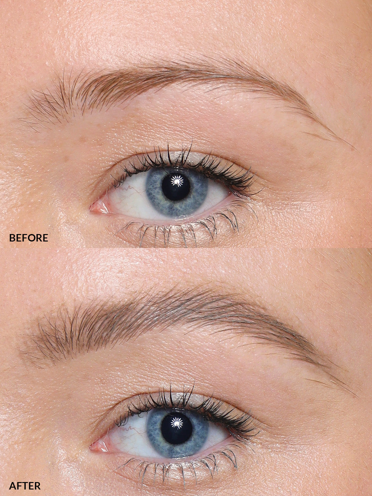 Brow Set